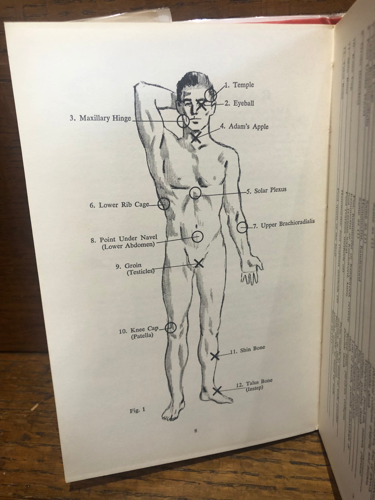 The Woman's Guide to Self-Defense